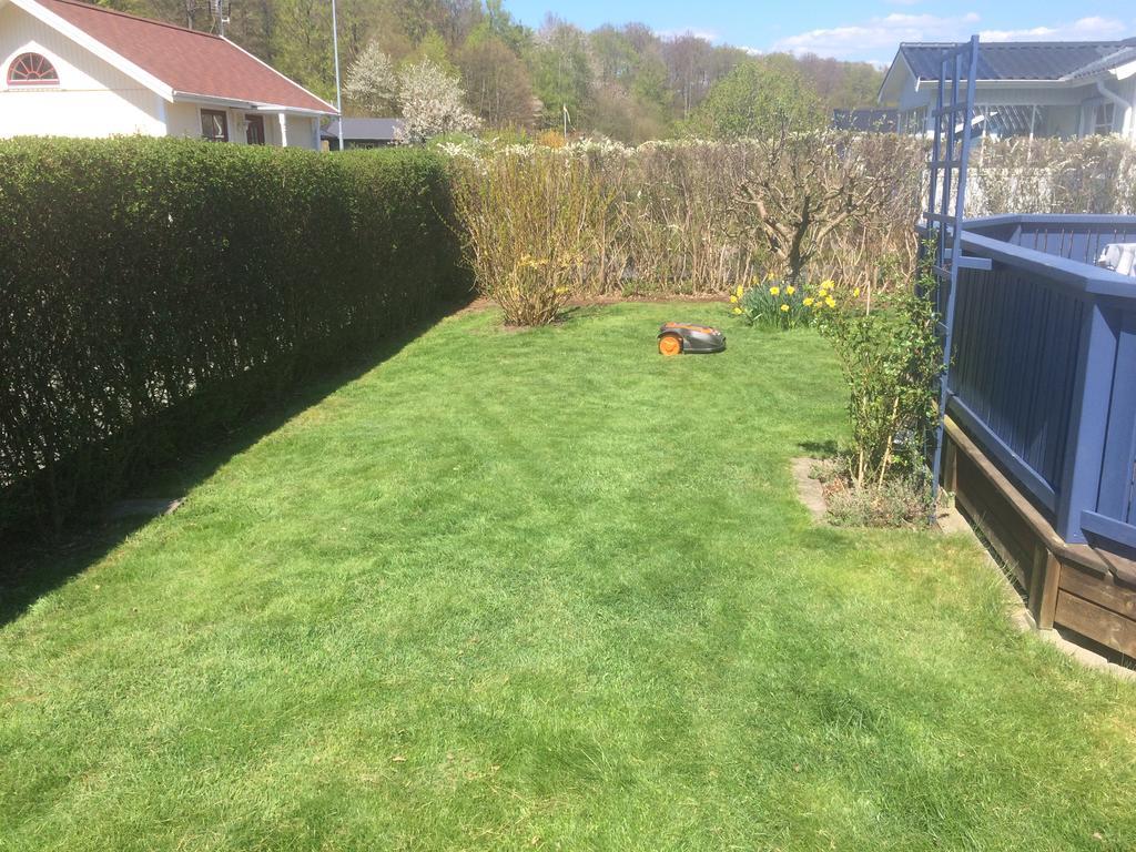Badstugan Karlshamn  Zewnętrze zdjęcie